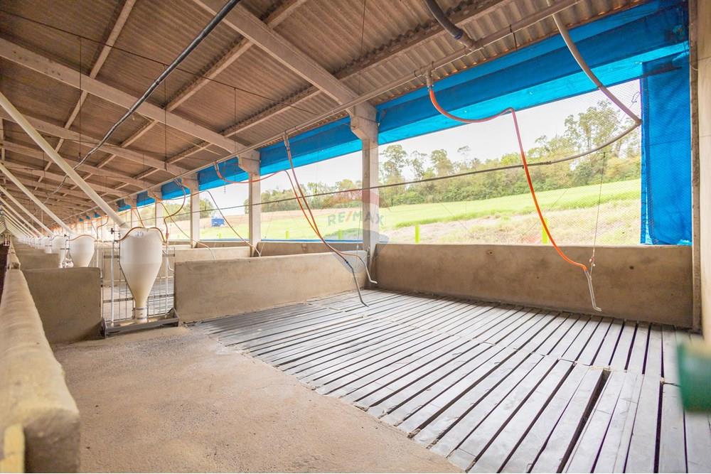 Chácara / Sítio / Fazenda - Venda - Toledo , Paraná - IMG_8555.jpg - 960131012-76