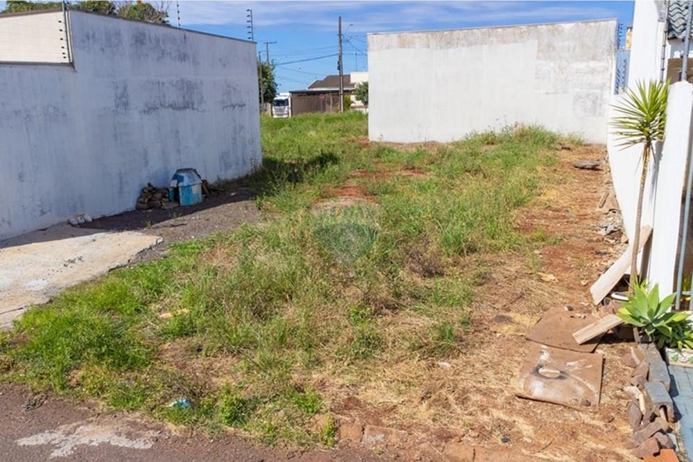 Terreno - Venda - Cascavel , Paraná - DJI_0586.jpg - 960151041-20
