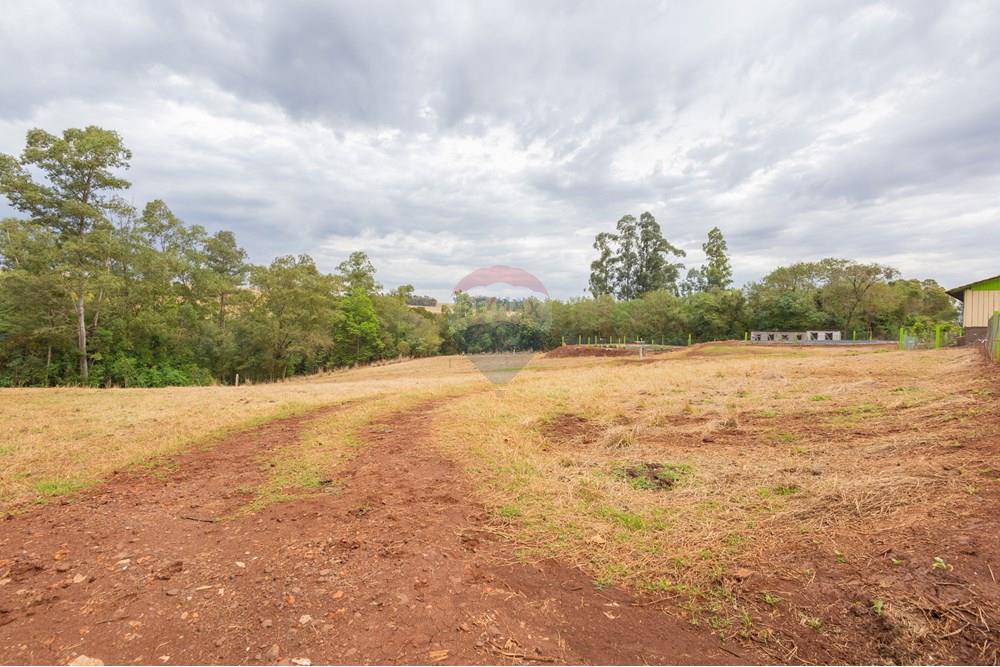 Chácara / Sítio / Fazenda - Venda - Toledo , Paraná - IMG_8577 (1).jpg - 960131012-76