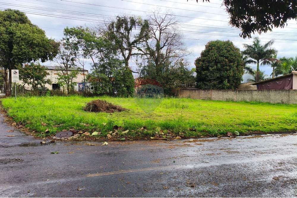 Terreno - Venda - Foz do Iguaçu , Paraná - Imagem do WhatsApp de 2025-09-12 à(s) 09.04.15_63c87aae.jpg - 960101031-25