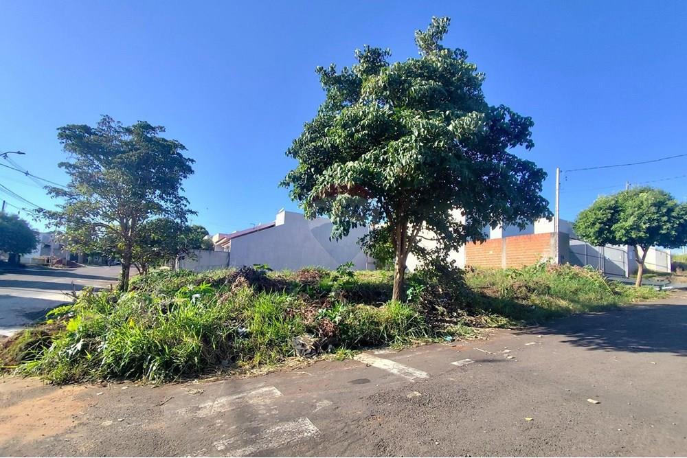 Terreno - Venda - Umuarama , Paraná - Imagem do WhatsApp de 2025-05-02 à(s) 10.13.39_89f78858.jpg - 960171005-49