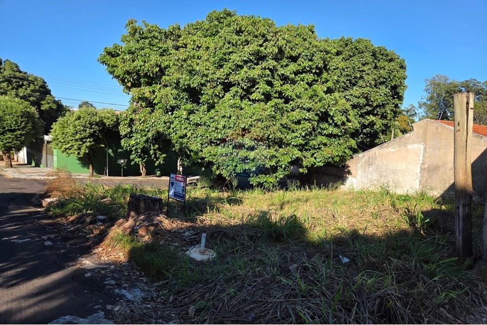 Terreno - Venda - Umuarama , Paraná - 8.jpg - 960171007-17