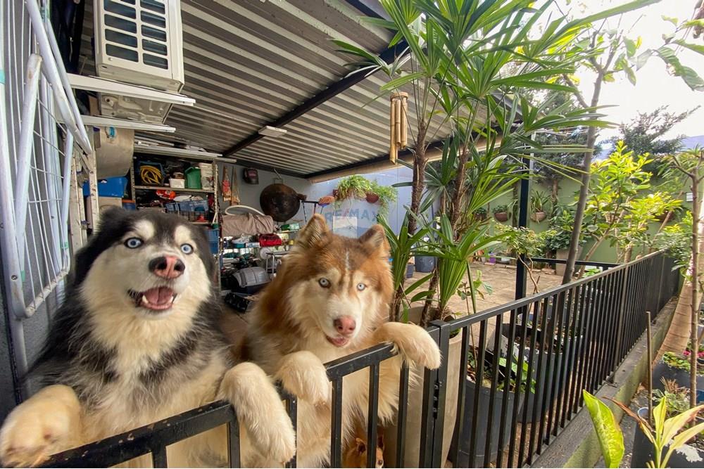 Casa - Venda - Cascavel , Paraná - CPM-52.jpg - 960151006-56