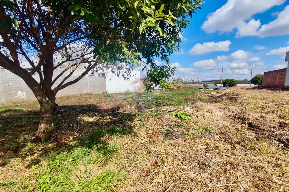 Terreno - Venda - Umuarama , Paraná - b030e02d-84d9-42f4-bb3f-f814cf00fe1b.jpg - 960171002-33