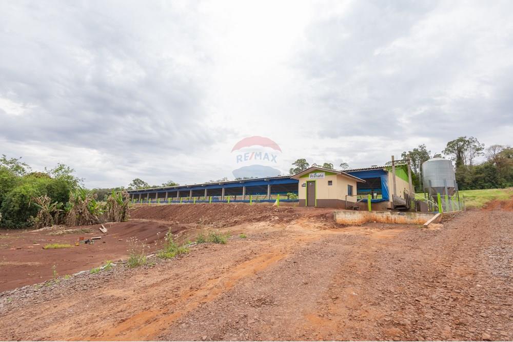 Chácara / Sítio / Fazenda - Venda - Toledo , Paraná - IMG_8569 (2).jpg - 960131012-76